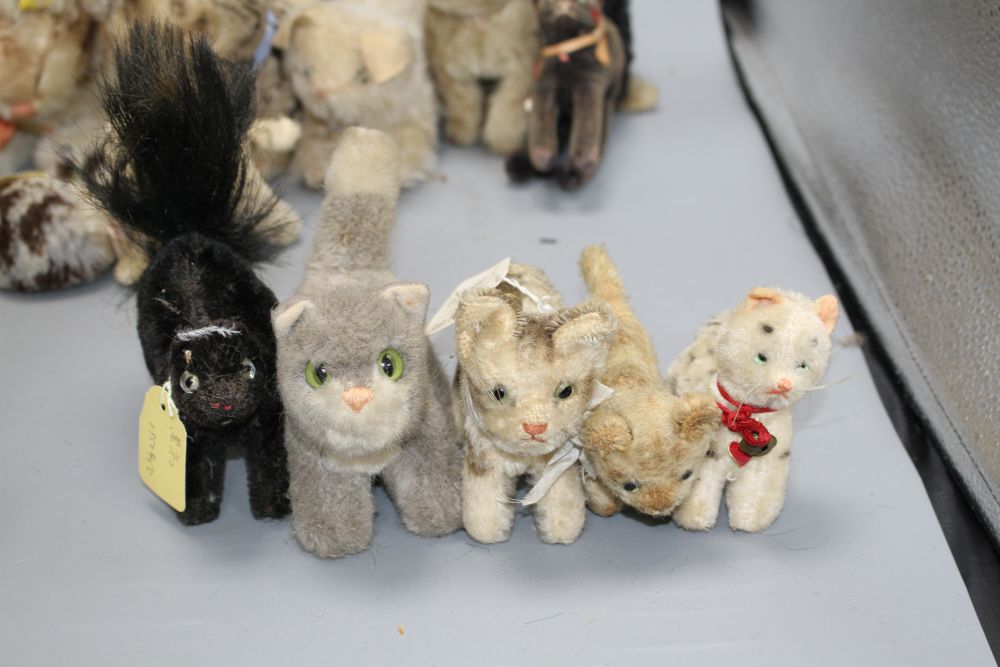 A collection of assorted soft toy cats